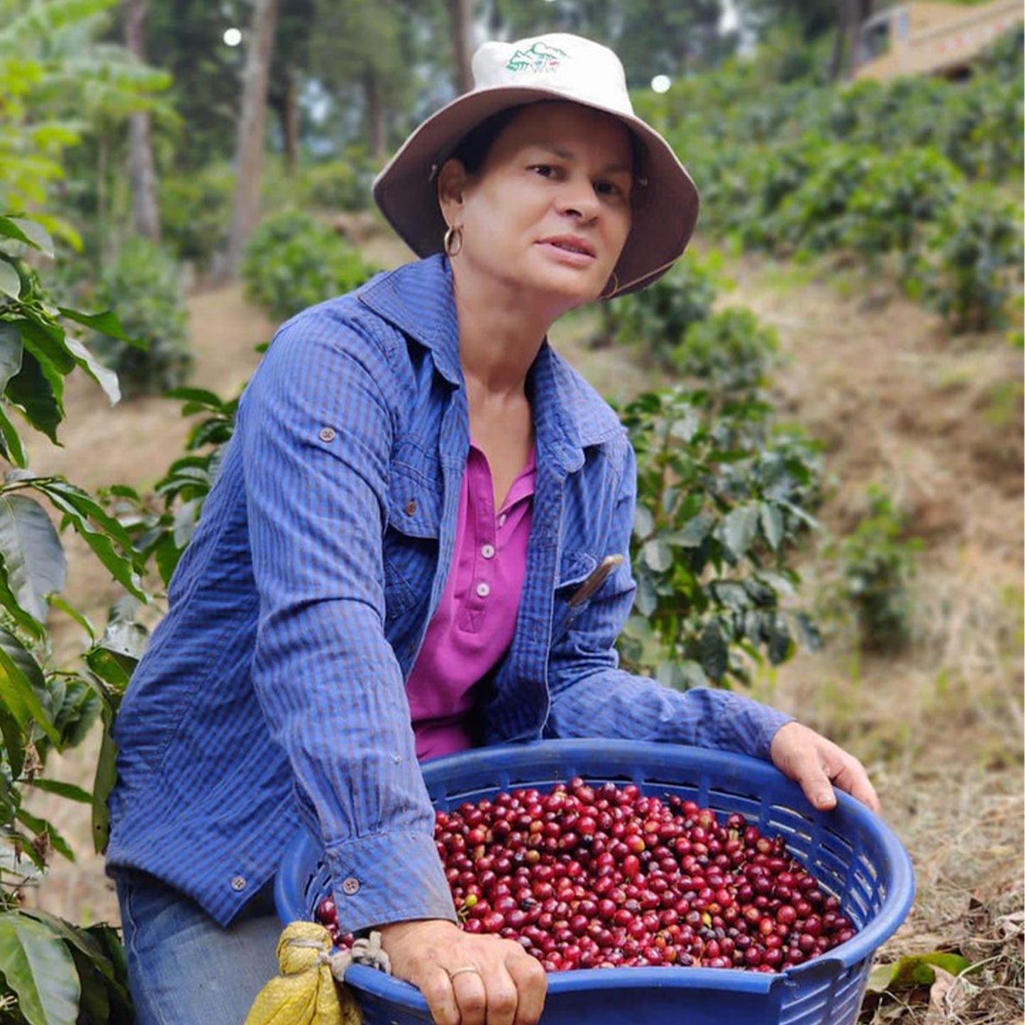 Costa Rica - Rita Herrera
