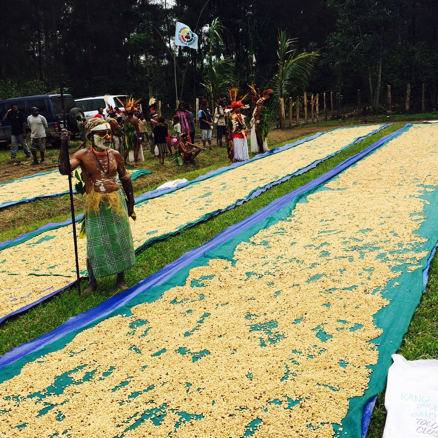 Decaf - Papua New Guinea - Paradise Mountain - Sugarcane Process