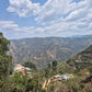 Peru - Finca Bellavista