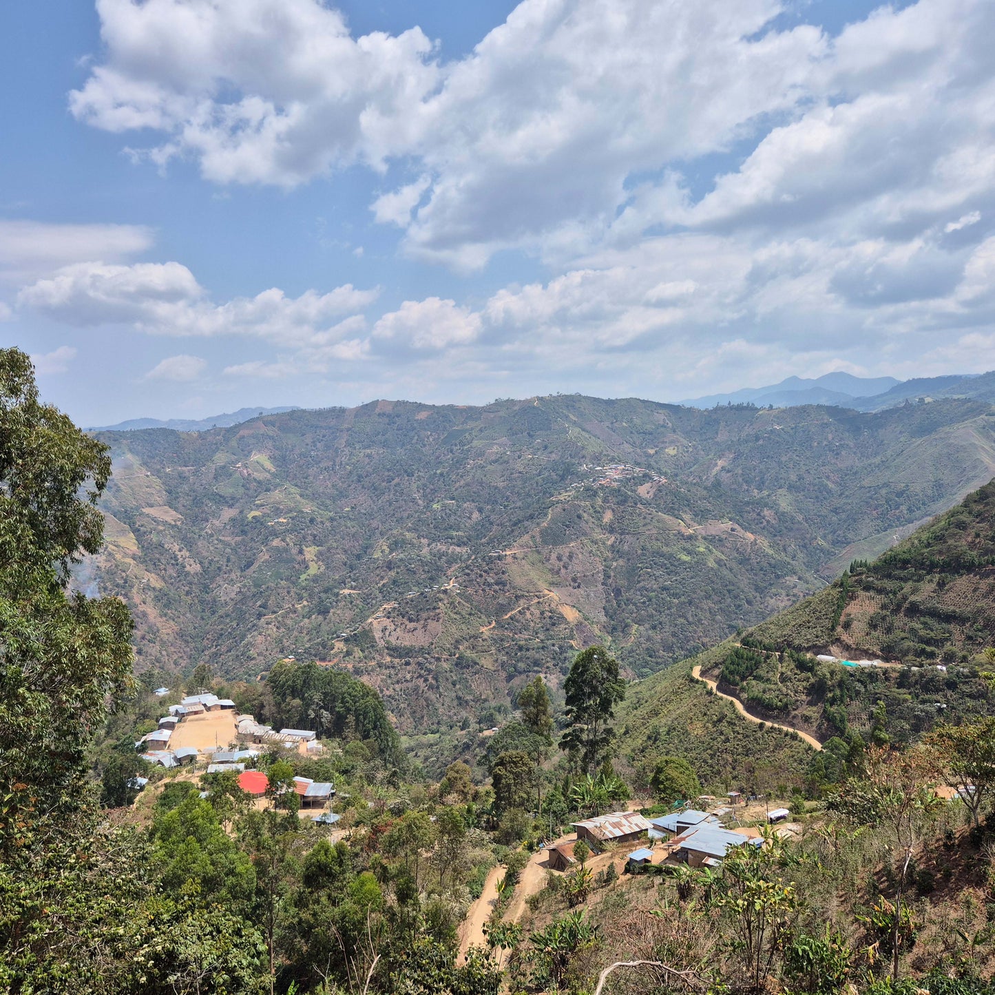 Peru - Finca Bellavista