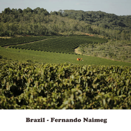 Brazil - Fernando Naimeg