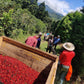 Costa Rica - Rita Herrera