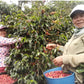 Colombia - Edward Montiel - Direct Trade