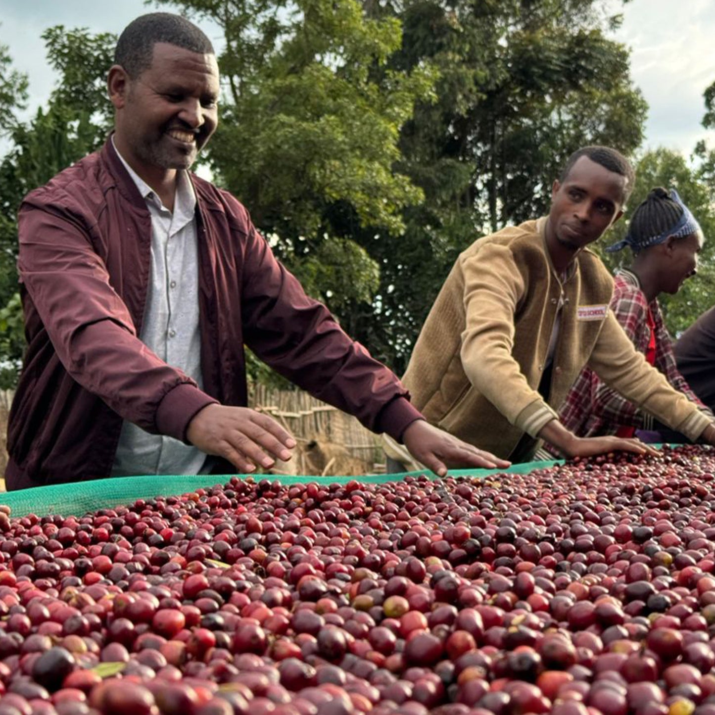 Ethiopia - Niguse Jilo