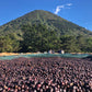 El Salvador - Finca Los Angeles