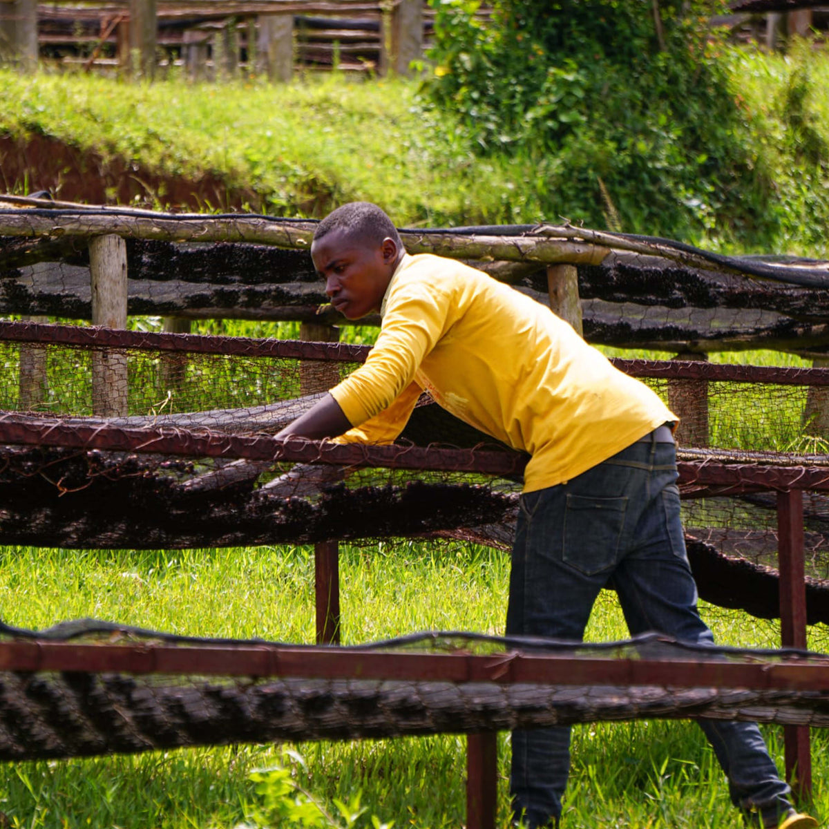 Rwanda - Mbizi