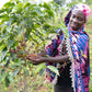 Burundi - Migoti Hill