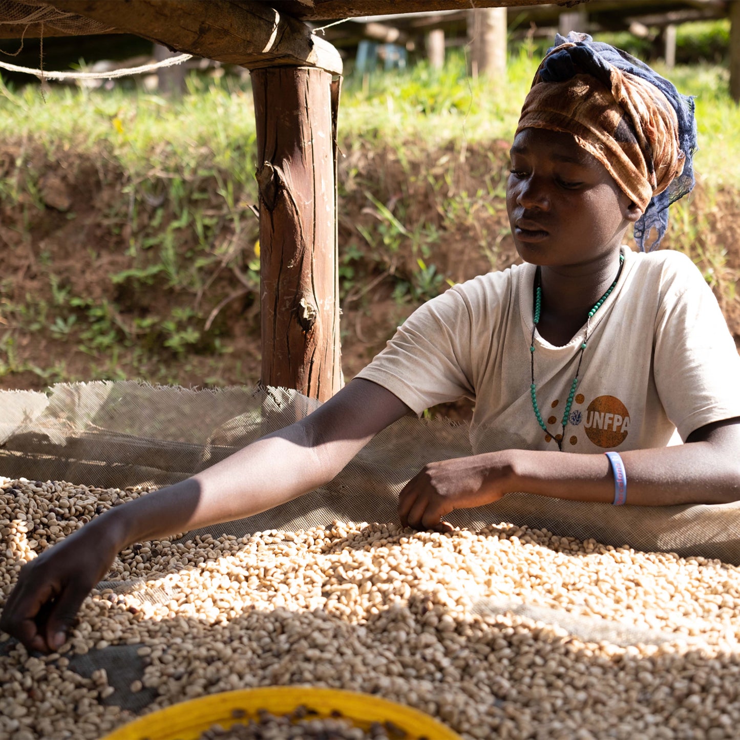 Burundi - Migoti Hill