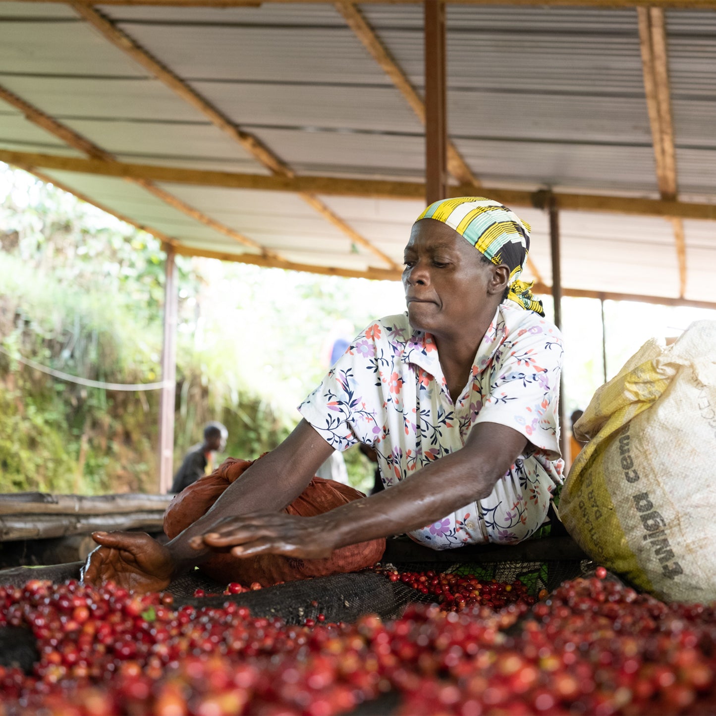 Burundi - Migoti Hill