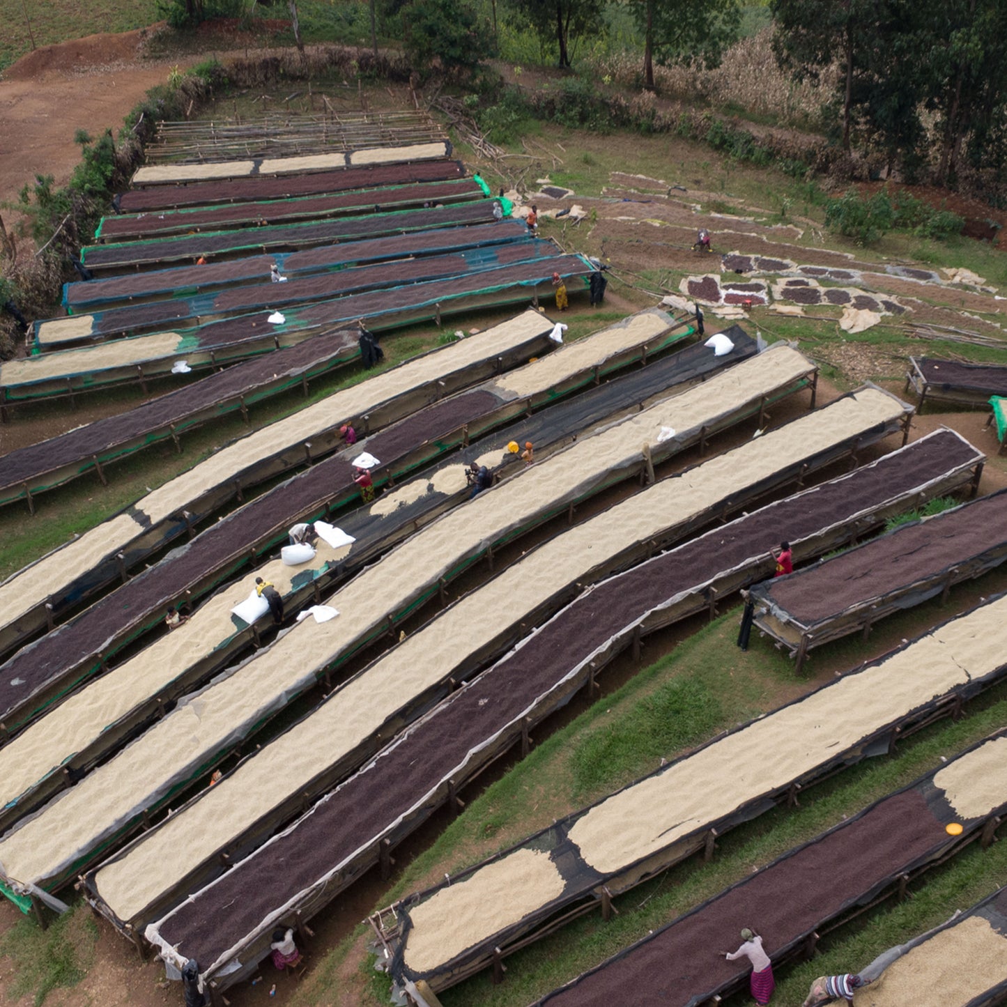 Burundi - Migoti Hill