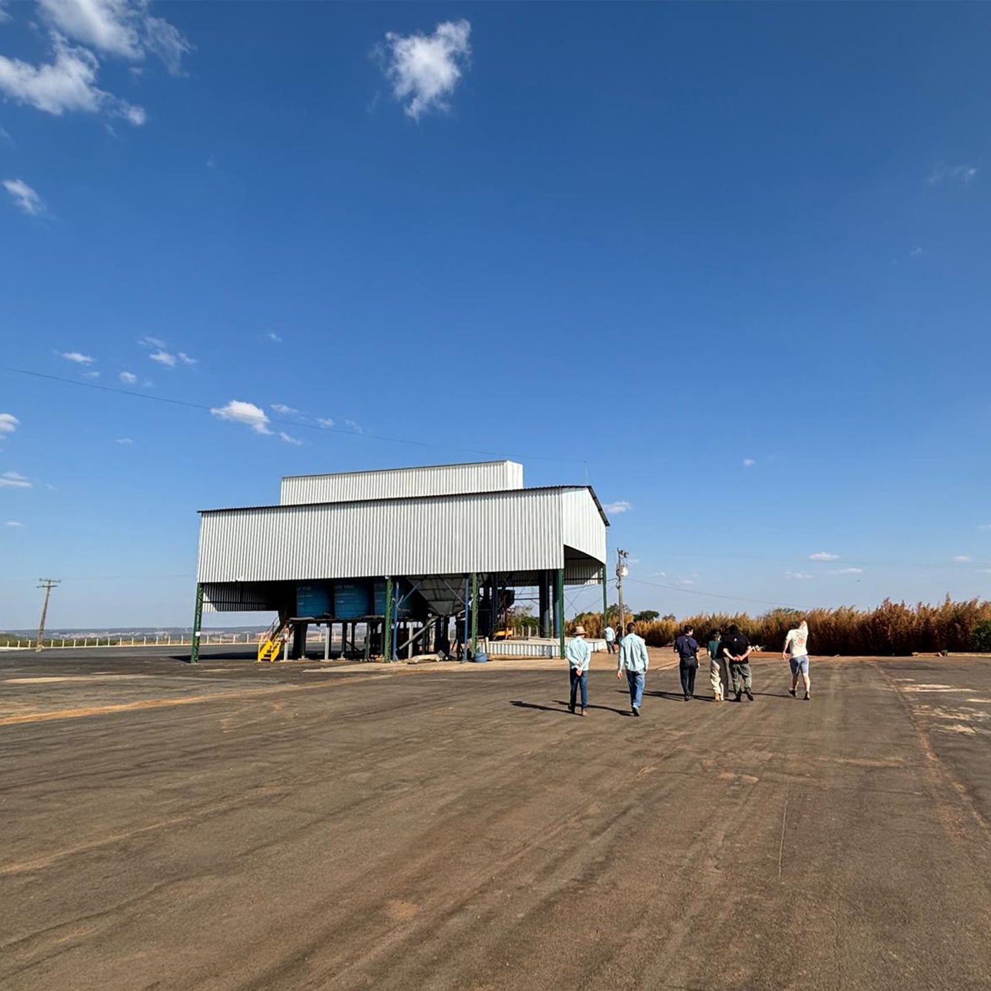 Half-Caff - 50% Caffeine