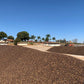 Decaf - Brazil - Cerrado - Sugarcane Process