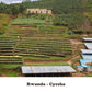 Rwanda - Cyesha