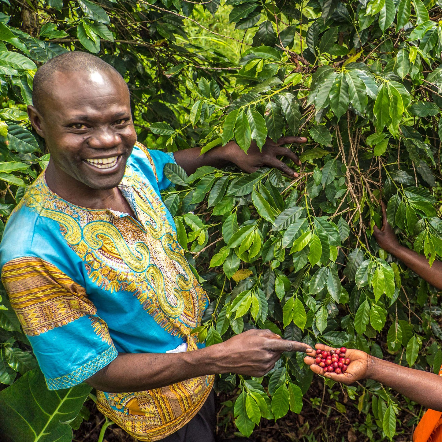 Uganda - Kalingwe