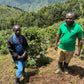 Uganda - Kithuthu