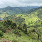 Uganda - Kithuthu