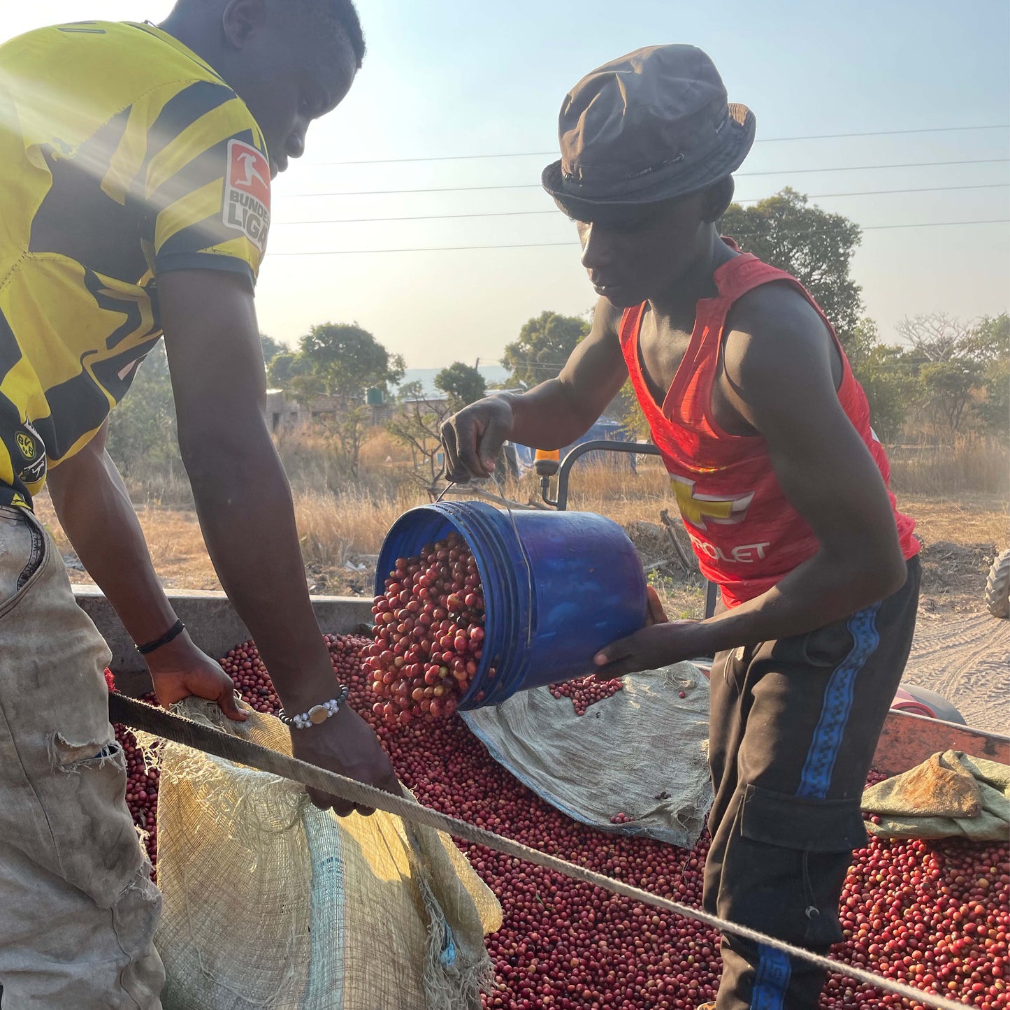 Yuletide - Festive Blend