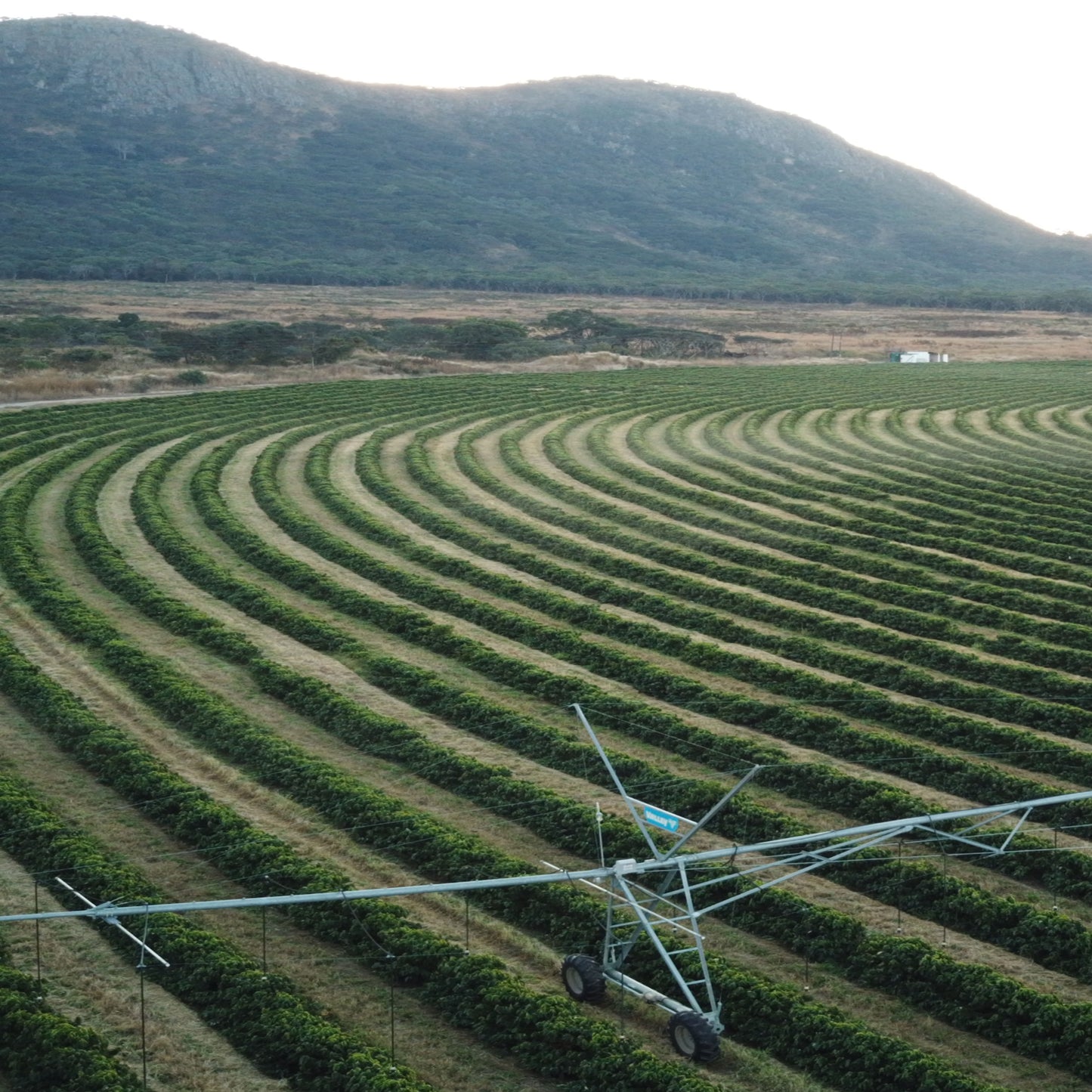 Zambia - Mount Sunzu