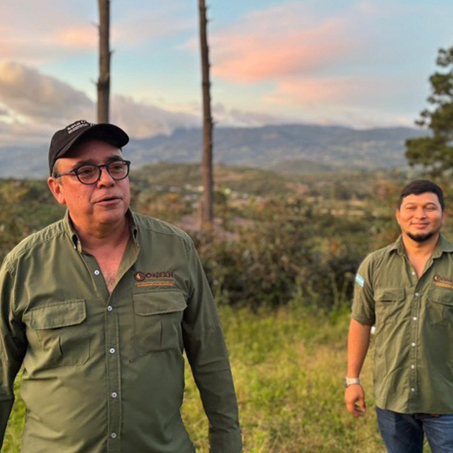 Yuletide - Festive Blend