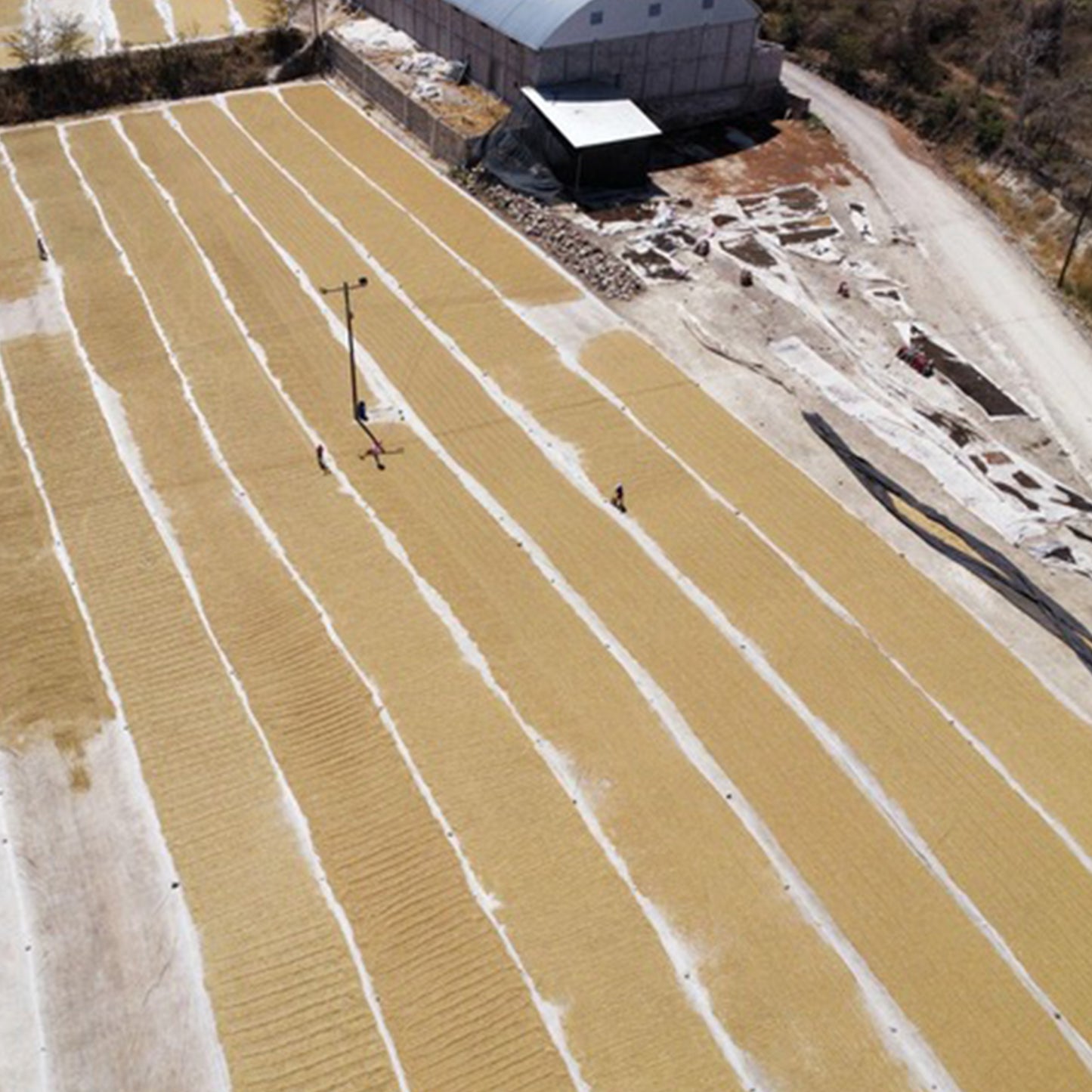 Yuletide - Festive Blend